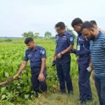 অভিযুক্ত নিজেই বিল থেকে তুললো নিখোঁজ আলিফের মরদেহ!