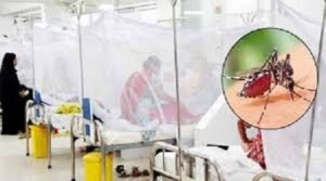 ডেঙ্গুতে মৃত্যু কমলেও হাসপাতালে নতুন ভর্তি ৭৫৫ জন