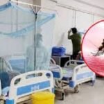 ডেঙ্গুতে আরও ২ জনের মৃত্যু, হাসপাতালে ৩৯৬
