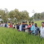 ফুলবাড়ীতে সেচের মটর চুরি হওয়ায় পানির দাবীতে কৃষকদের মানববন্ধন॥