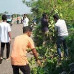 তরুণদের উদ্যোগে ৩৭ কিলোমিটার মহাসড়ক পরিষ্কার