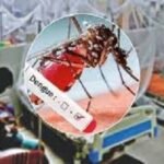 এক দিনে ডেঙ্গু আক্রান্ত ৯২৮ জন, মোট মৃত্যু ২৭৮