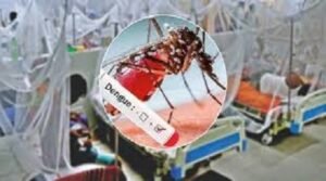 এক দিনে ডেঙ্গু আক্রান্ত ৯২৮ জন, মোট মৃত্যু ২৭৮