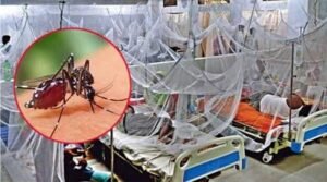 দেশে ডেঙ্গুতে একজনের মৃত্যু, হাসপাতালে ভর্তি ৯৫০