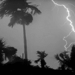 কবে থেকে কমবে বৃষ্টি, যা জানালো আবহাওয়া অফিস