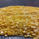 মথ ডালকে মুগ হিসেবে বিক্রি, স্বাস্থ্যগত ঝুঁকি