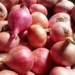আমদানির সুপারিশে কি পেঁয়াজের দাম কমবে