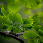 যে আমলে রিজিক বাড়ে