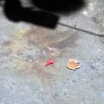 টিএসসিতে ককটেল বিস্ফোরণ