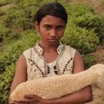 বিশ্বমঞ্চ ঘুরে এবার বাংলাদেশে ‘নিশি’