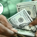 আটদিনে প্রবাসী আয় এলো ৯১৯৮ হাজার কোটি টাকা