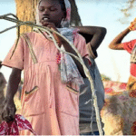 সুদানের এল-ফাশেরে গণহত্যা ও মানবতাবিরোধী অপরাধের অভিযোগ