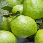 সকালে খালি পেটে পেয়ারা খাওয়ার স্বাস্থ্য উপকারিতা