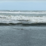 ঘূর্ণিঝড় ‘ডিটওয়াহ’ : চট্টগ্রাম, কক্সবাজার, মোংলা ও পায়রায় ২ নম্বর সংকেত