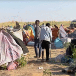 সুদানে আরএসএফের ড্রোন হামলায় নারী ও শিশুসহ নিহত ৪০