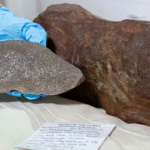 অস্ট্রেলিয়ায় মিলল দুষ্প্রাপ্য উল্কাপিণ্ড, সোনার চেয়েও দামি