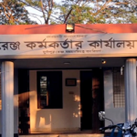 বনের গাছ মিললো প্রভাবশালীর বাড়িতে,অভিযানে জব্দ