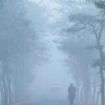 এমন কুয়াশা কতদিন থাকতে পারে জানাল আবহাওয়া অফিস