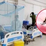 ডেঙ্গুতে আক্রান্ত হয়ে হাসপাতালে ভর্তি ১২৬, মৃত্যু নেই