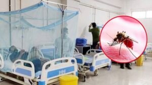ডেঙ্গুতে আক্রান্ত হয়ে হাসপাতালে ভর্তি ১২৬, মৃত্যু নেই