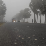 নওগাঁয় ঘন কুয়াশায় জেঁকে বসেছে শীত: বিপাকে দিনমজুর ও খেটে খাওয়া মানুষ