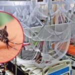 মৃত্যুহীন দিনের পর ডেঙ্গু কেড়ে নিলো আরও ৫ প্রাণ