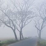 দেশের সর্বনিম্ন তাপমাত্রা রাজশাহীতে