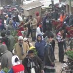 ভালো দামে খুশি গদখালীর ফুল চাষিরা, ৫ কোটি টাকা ব্যবসার আশা