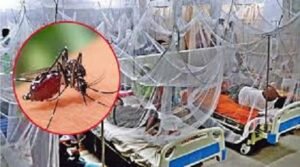 ডেঙ্গু আক্রান্ত হয়ে হাসপাতালে ভর্তি ২০০