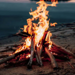 মানুষ কবে প্রথম আগুন জ্বালাতে শেখে, জানা গেল নতুন ইতিহাস