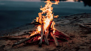 মানুষ কবে প্রথম আগুন জ্বালাতে শেখে, জানা গেল নতুন ইতিহাস