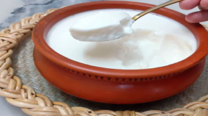 শীতে প্রতিদিন টক দই খেলে কী উপকার?