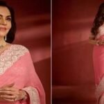 নতুন সাজে নজর কাড়লেন নীতা আম্বানি