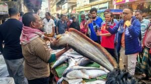 বড় বড় মাছের মেলা