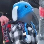 অভিবাসনবিরোধী অভিযানে ৫ বছরের শিশুকে আটক করল যুক্তরাষ্ট্র