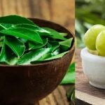 চুলের বিভিন্ন সমস্যা কমাবে আমলকী, কারিপাতা!