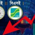 বিমার শেয়ারের হঠাৎ পতন, বিনিয়োগ বাজারে প্রভাব