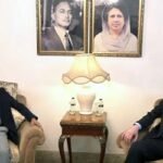 তারেক রহমানের সঙ্গে মার্কিন রাষ্ট্রদূতের সাক্ষাৎ