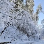 ভূমিধসের সতর্কতা জারি, পর্যটকদের ভ্রমণ এড়ানোর পরামর্শ