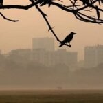 ঢাকায় শীত নিয়ে আবহাওয়া অফিসের নতুন বার্তা