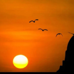 আজকের নামাজের সময়সূচি, ১০ জানুয়ারি ২০২৬