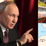 তুরস্কে গ্যাস পাইপলাইনে হামলার সম্ভাবনা, সতর্ক করলেন পুতিন