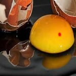 ডিমের কুসুমে রক্তের দাগ, খাওয়া কি নিরাপদ?