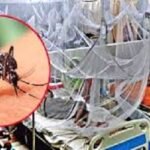 ডেঙ্গুতে চলতি বছর তৃতীয় মৃত্যু