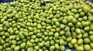 রোজা শুরুর আগেই লেবুর বাজার চড়া