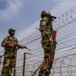 সীমান্তে নতুন আতঙ্কের ছায়া, নদীখালে সাপ কুমির ছাড়ার ভাবনায় বিএসএফ