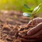 কী কী আমলের মাধ্যমে রিজিক বাড়ে