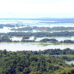 ২৪ এপ্রিল মধ্যরাত থেকে কাপ্তাই হ্রদে সকল প্রকার মাছ আহরণ-বিপননে নিষেধাজ্ঞা জারি