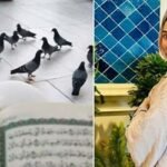 হজ শেষে আবেগঘন বার্তা দুরেফিশানের