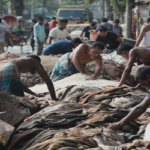 চামড়ার নামমাত্র দাম, ফেলে দিয়েছেন অনেকে